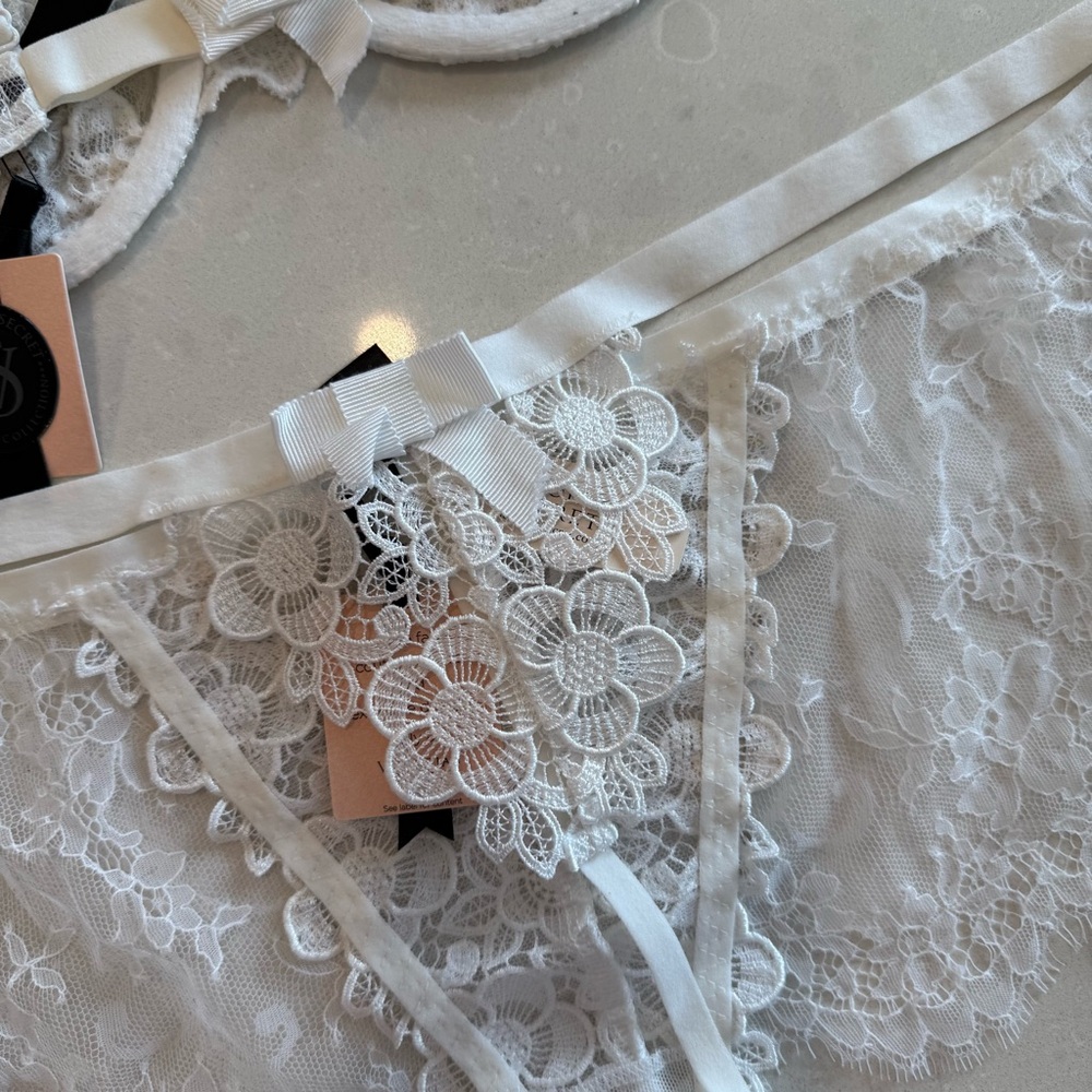Victoria's Secret Designer Fashion Show 2015 Swarovski Crystal Bra & L Panty Set - Picture 15 of 16